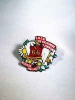 66 Jaar Pin