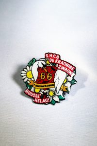 66 Jaar Pin