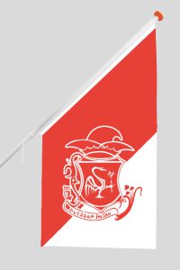 De Kraonige Zwaone vlag